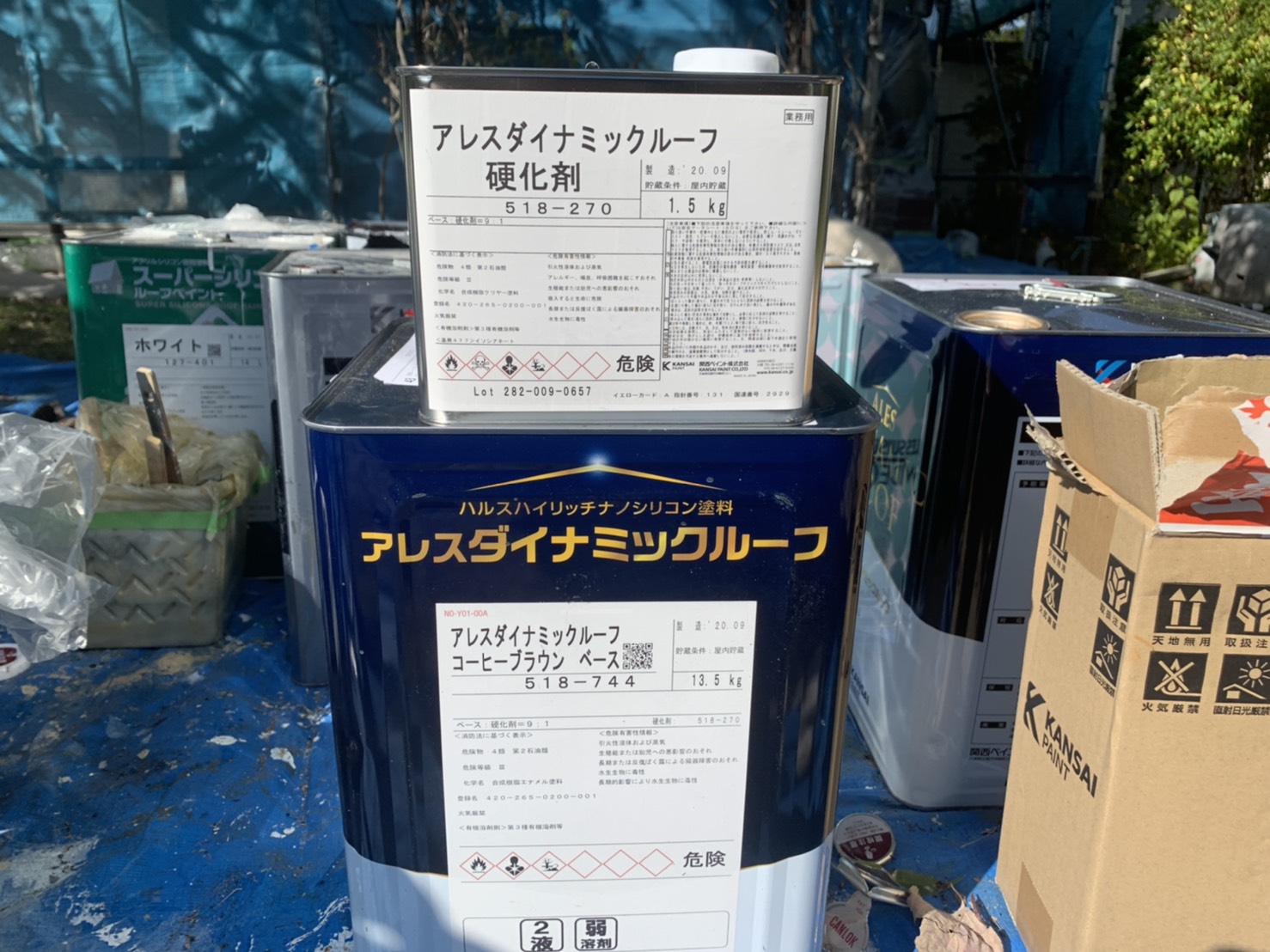 ダイナミックルーフ