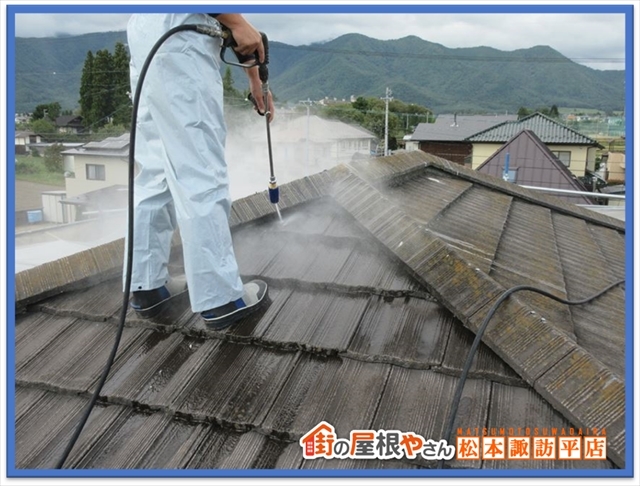 コケや藻について