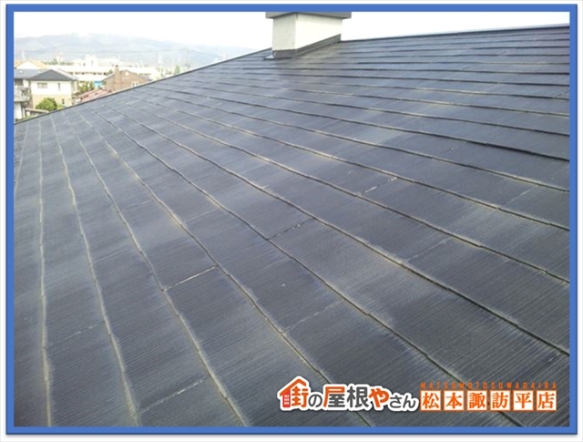 コケや藻について