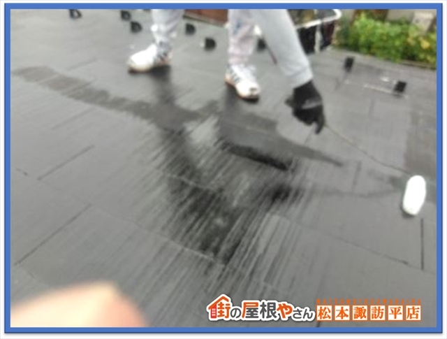 コケや藻について