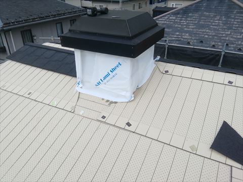 メリッサ葺き替え