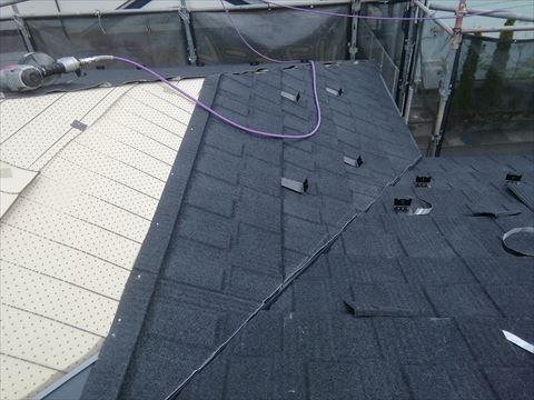 メリッサ葺き替え