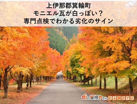 上伊那郡箕輪町積水ハウスモニエル瓦点検