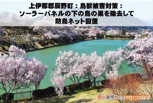上伊那郡辰野町：鳥獣被害対策：ソーラーパネルの下の鳥の巣を除去して防鳥ネット設置