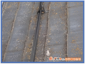 伊那市でスレート屋根のコケ・カビ対策！ガルバリウム重ね葺きで耐久性を向上2