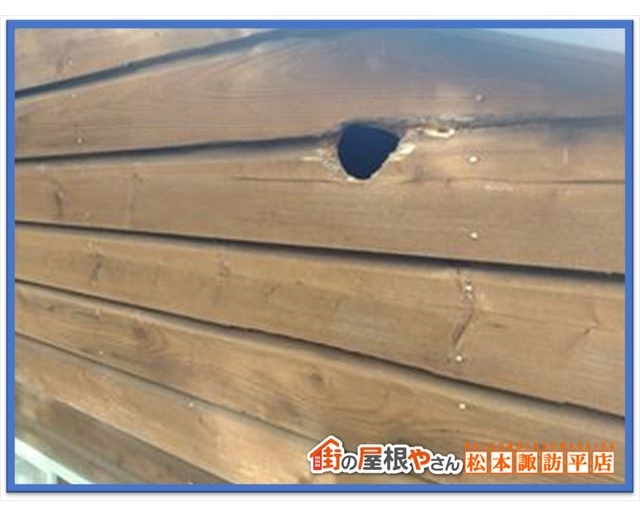 別荘メンテナンス