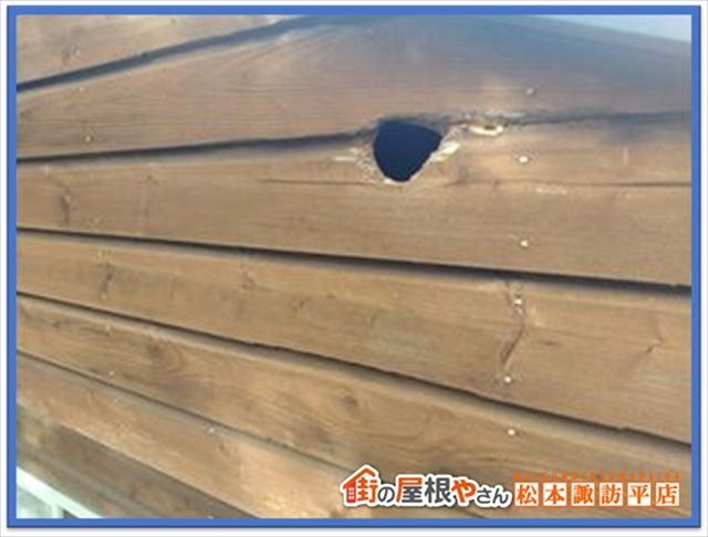 別荘メンテナンス