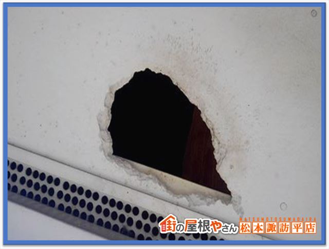 別荘メンテナンス