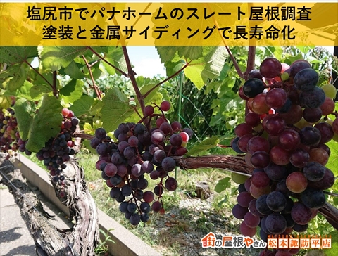 塩尻市パナホームスレート屋根調査