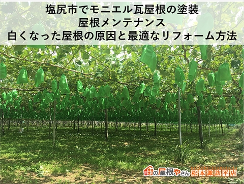 塩尻市モニエル瓦屋根塗装