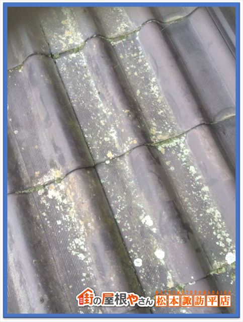 安曇野パッチテスト