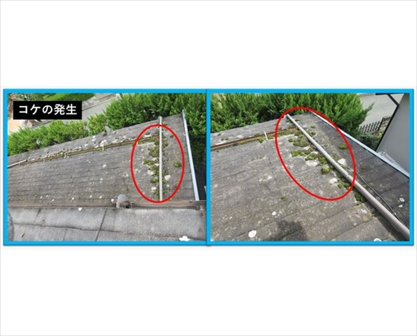 富士見町雨漏り現調