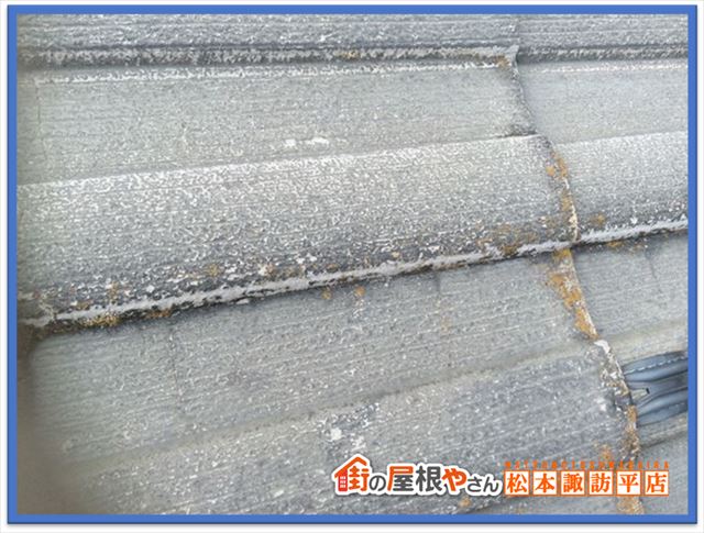 岡谷市現地調査