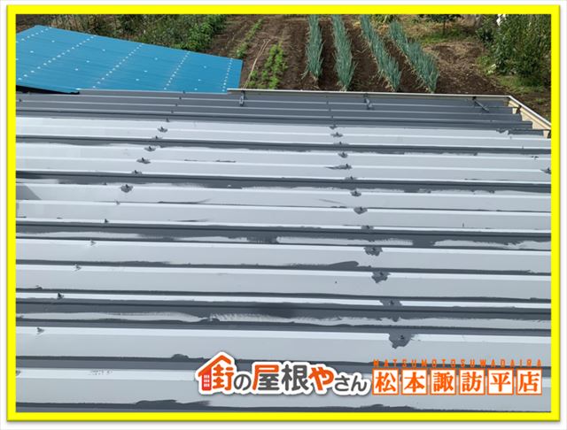 波トタン張替え