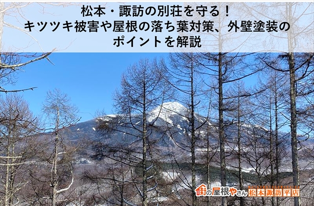 松本・諏訪の別荘を守る！キツツキ被害や屋根の落ち葉対策、外壁塗装のポイントを解説