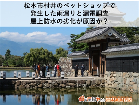松本市ペットショップ雨漏り相談