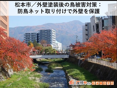 松本市外壁塗装後の防鳥ネット取り付け
