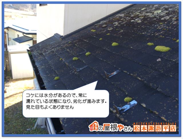 松本市屋根点検