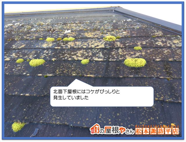 松本市屋根点検