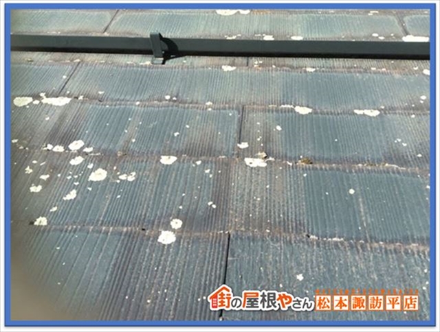 松本市屋根現地調査