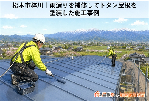 松本市梓川｜雨漏りを補修してトタン屋根を塗装した施工事例