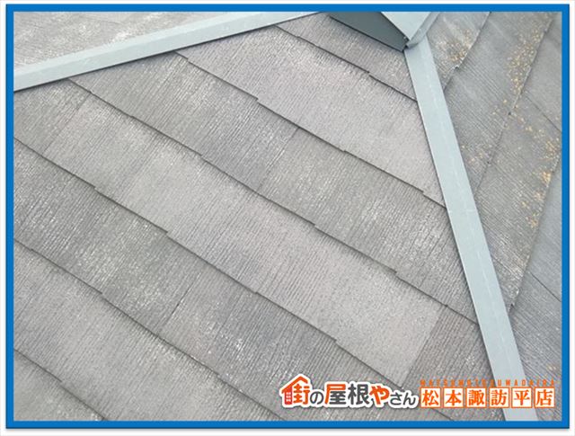 松本市現地調査