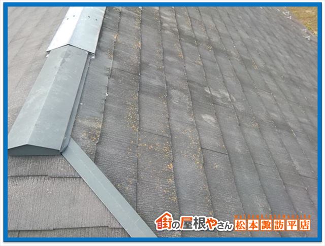 松本市現地調査