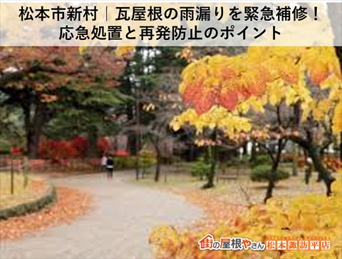 松本市雨漏り補修