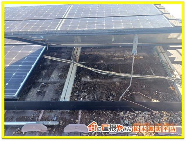 松本防鳥ネット