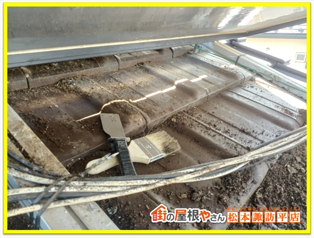 松本防鳥ネット