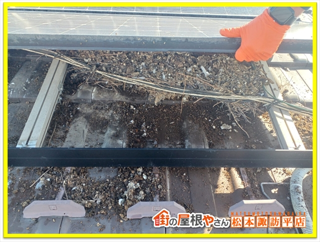 松本防鳥ネット