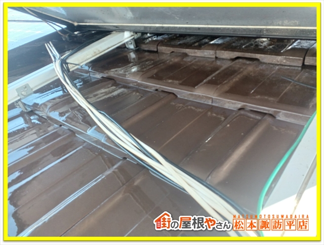 松本防鳥ネット