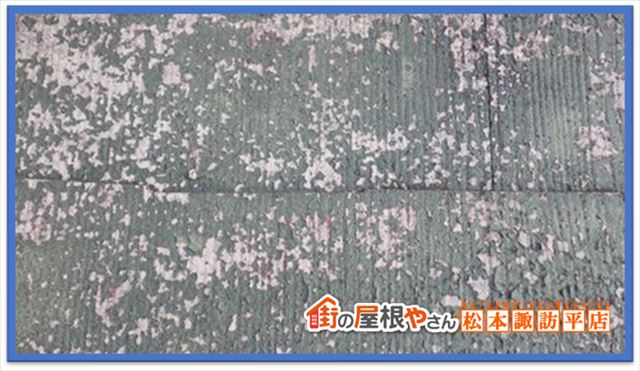 箕輪町カバー工法