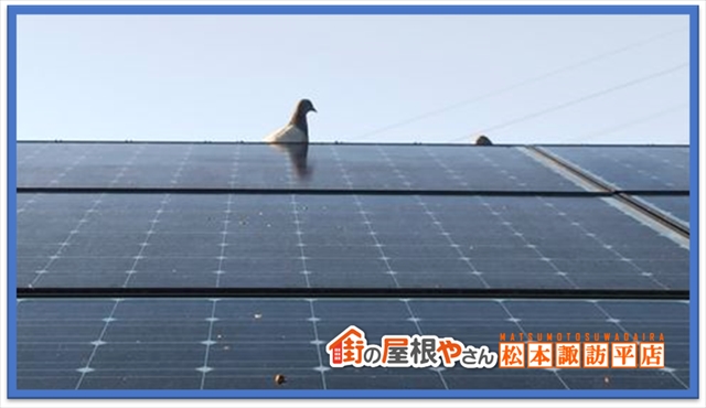 箕輪町防鳥ネット