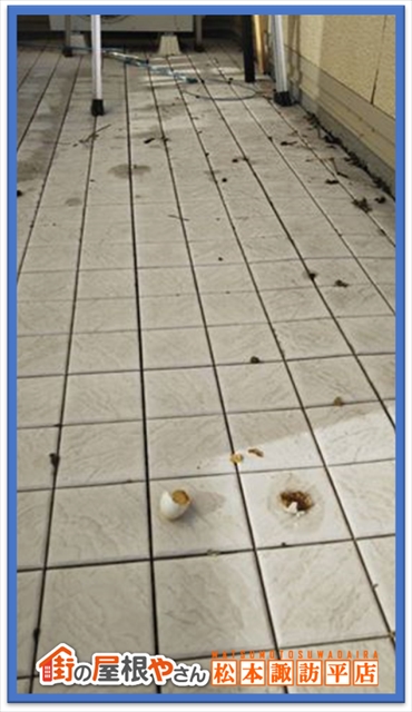 箕輪町防鳥ネット