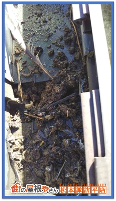 箕輪町防鳥ネット