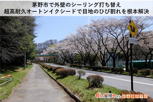 茅野市で外壁のシーリング打ち替え｜超高耐久オートンイクシードで目地のひび割れを根本解決