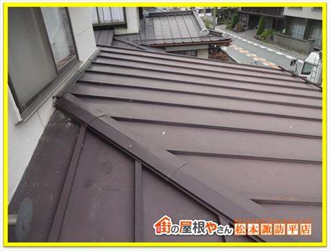 茅野市トタン屋根現地調査