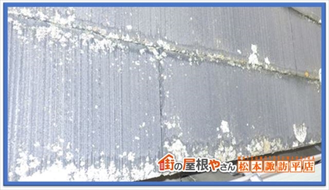 茅野市屋根点検