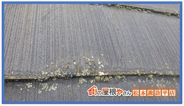 茅野市屋根点検