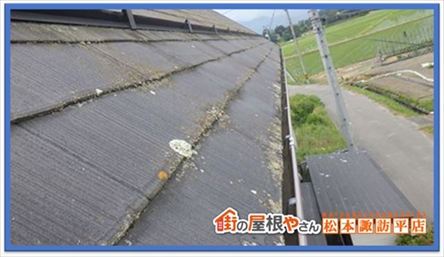 茅野市屋根点検