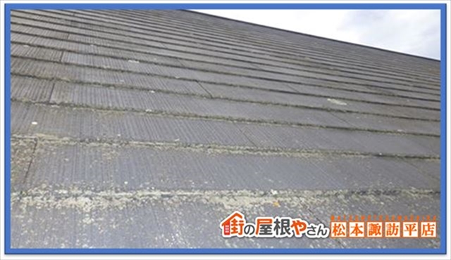 茅野市屋根点検