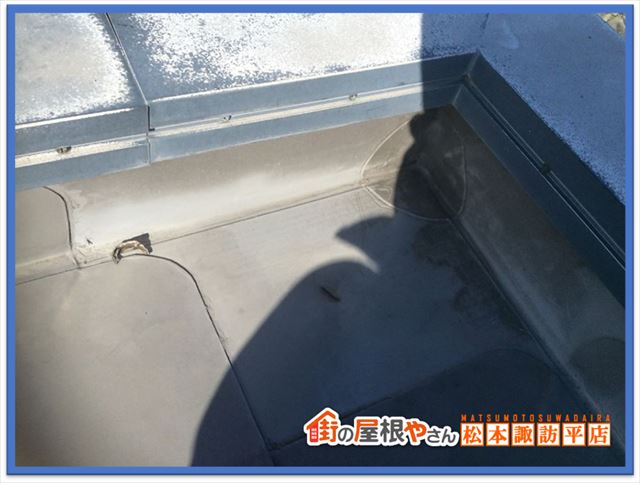 茅野市雨漏り調査