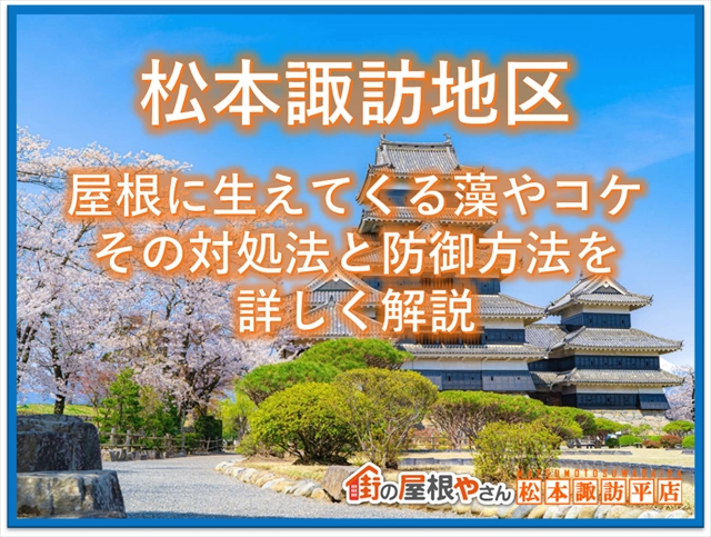 藻やコケの対処法