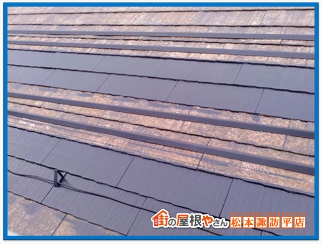 藻やコケの対処法