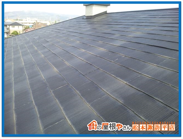 藻やコケの対処法