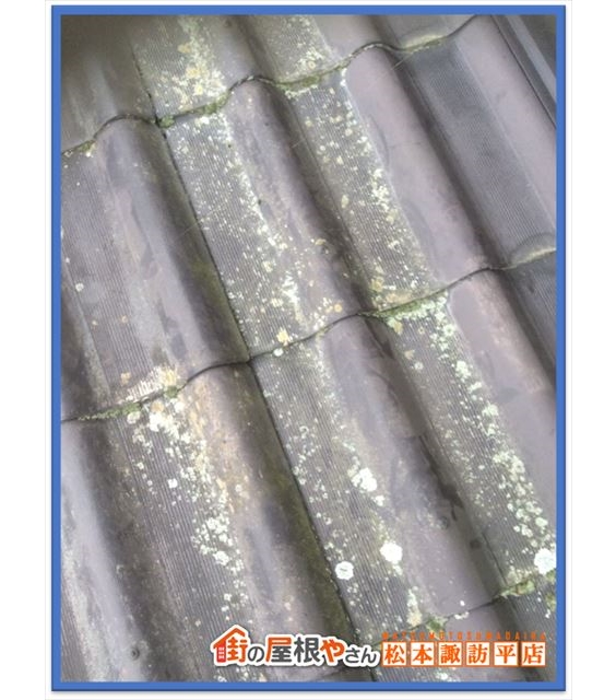 諏訪市屋根点検