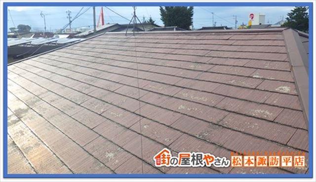 諏訪市現地調査