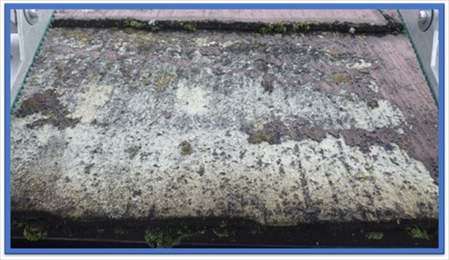 諏訪市現地調査