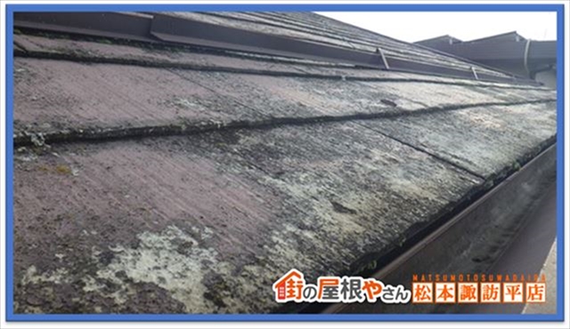 諏訪市現地調査